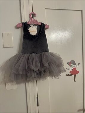 iloveplum Girls' Grey Velvet Tulle Tutu Dress